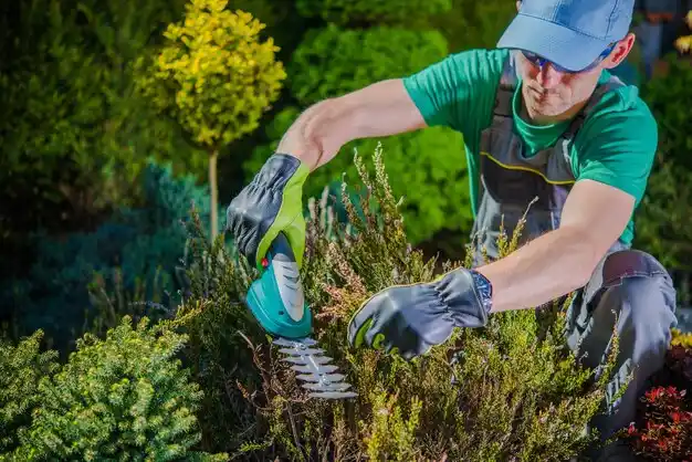 landscaping services Delhi